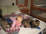 Mittens, Brianna, and Ringo
