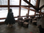 December 5: Tree going up, and winter furniture rearrangement.  2 chairs angled on south wall. Notice the lovely snow and fog outside, too