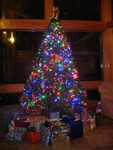 Another tree picture