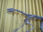IMG 0073