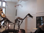 IMG 0075