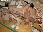 IMG 0083