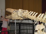 IMG 0086