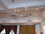 IMG 0091