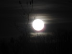 Another attempt at a moon picture -- this at least gives some sense of how huge it looked. It was so bright, it almost made it hard to sleep.