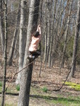 He's a pretty good climber!