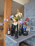 May 7: Iris display from our iris bed