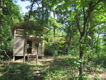 Playhouse and treehouse together