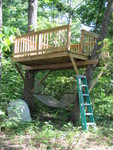 Hammock hung under the treehouse