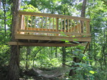 Treehouse viewed out the playhouse window