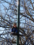 Connor on his perch. He was so proud that he could climb without help!