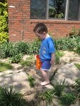 Connor hunting eggs