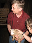 Letting the kids pet the lamb
