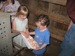 Gathering eggs