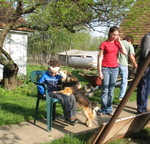 Connor, Yogi, and Rachel.  Connor has a big bandage on his head from getting hit with a swing last night (fortunately we were able to butterfly it closed, so it didn't require stitches)