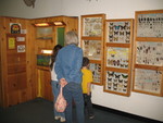 Insect display