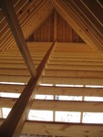Another rafters pic