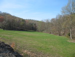The field and trees are greening up beautifully