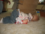 Roiya napping on the floor
