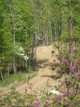 A view looking over the driveway