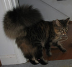 Photo Kailyn took of Ringo