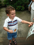 Connor identifying the butterfly perched on his arm