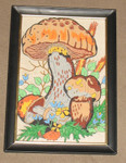 The second mushroom pic