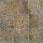 A couple new tile samples: manufacturer's pic of Montara Sage Brush