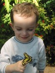 Butterfly on Connor
