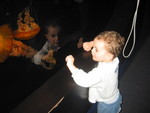 Connor loves jellyfish