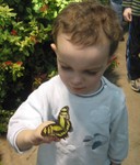 I just kept taking pictures of it until he wanted it to fly away!  Then we gently passed it off to another young boy, who was thrilled.