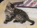 He doesn't have a name yet.