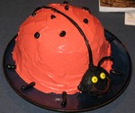 The pinkish-red 'frosting' is actually more strawberry cream filling tinted with food coloring, though the stripe separating the wings, the spots, the legs, and the head are ordinary frosting.