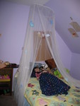 Kailyn in her new bed canopy, with Ringo
