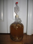 Don's portabella mead, started 1-27-07