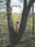 Kids in the tree at the southern tip of site 3.  Ridge in the background is to the southwest.  April 15 2005