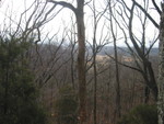 View from up in the oak tree