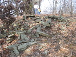 We may use them for steps in our path up the knoll