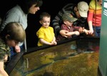 Connor getting ready to touch sturgeons