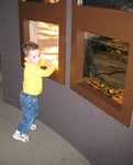 Connor looking at turtles