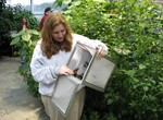 Butterfly release