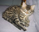 I woke him up with the flash