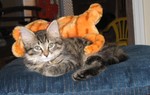 January 16: with Garfield