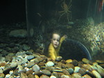 Connor in the crab tube
