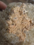 Don found a rock with really fascinating crystal structure