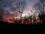 From the bend in the driveway right before you get to the house
