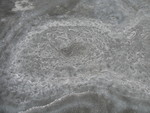 IMG 0291
