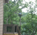 July 24: Dinner bell installed