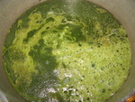 Here it was just starting to cook.  It had a strong smell of greens at this point.