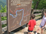 Kids looking at the map